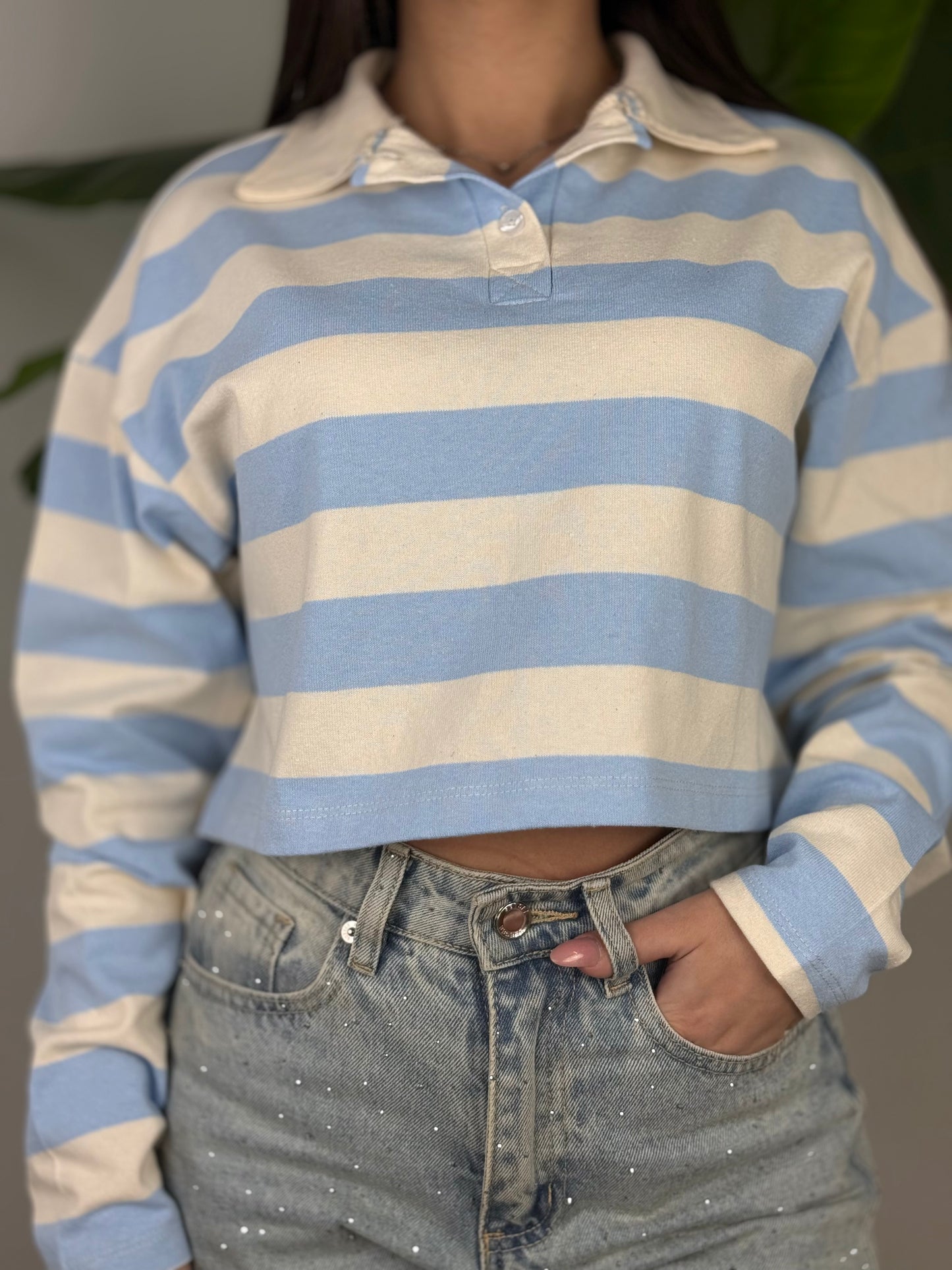 Polo Spring