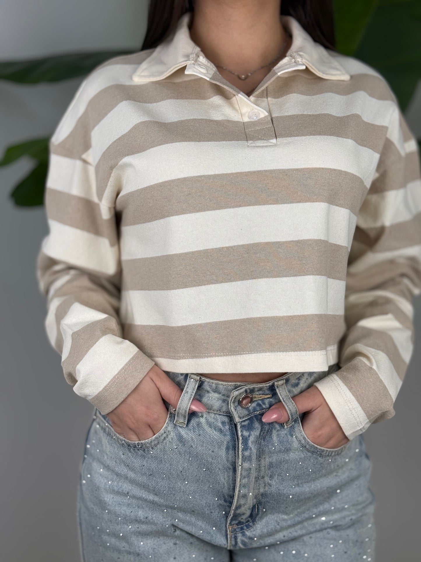 Polo Spring